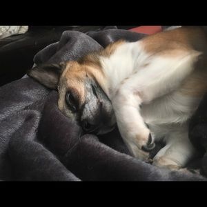 Meet your Posher, Georgia